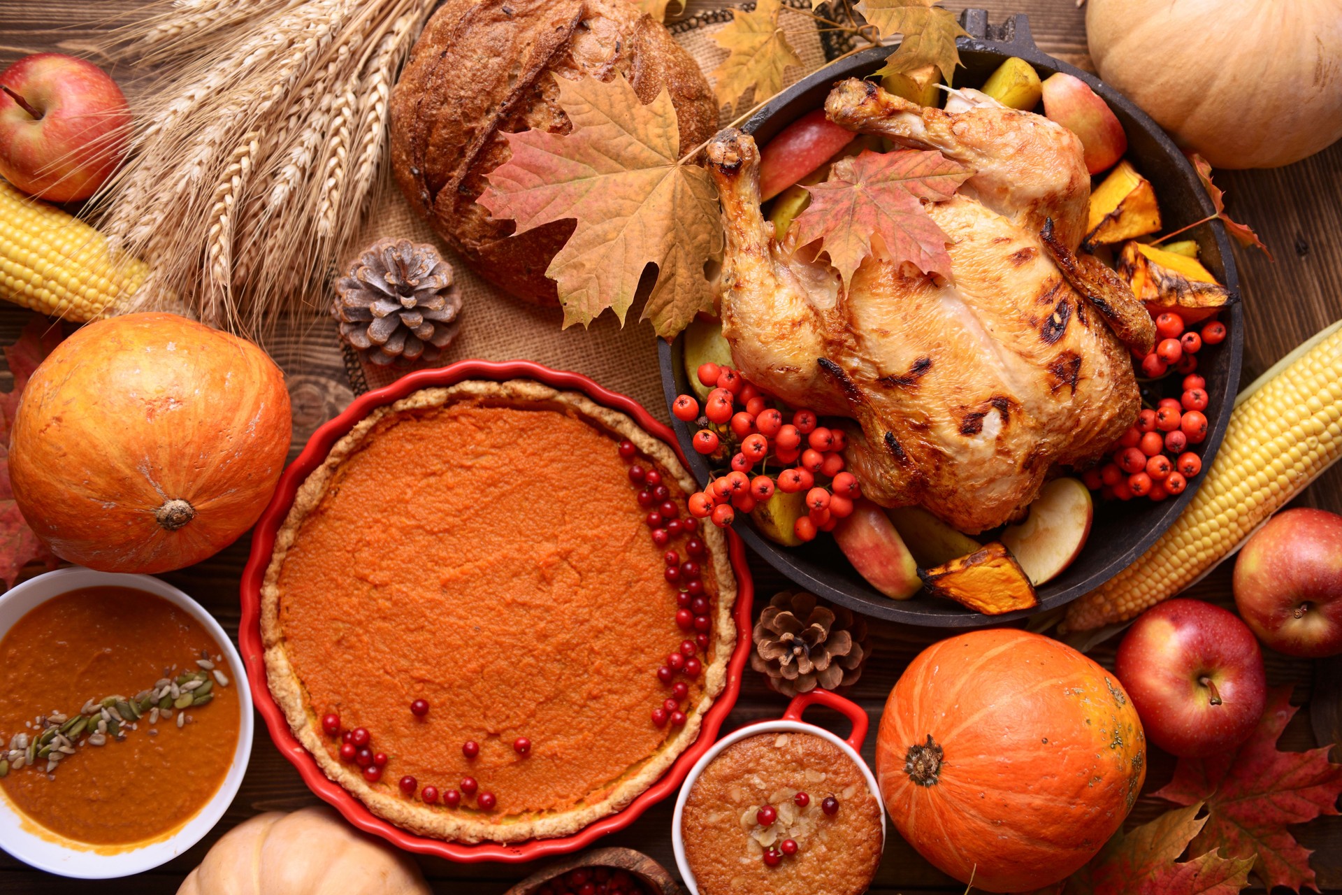 Traditional Thanksgiving still life. Roasted turkey, pumpkin pie, cranberries, autumn pumpkins and nuts on a dark wooden table. Top view. Holiday concept